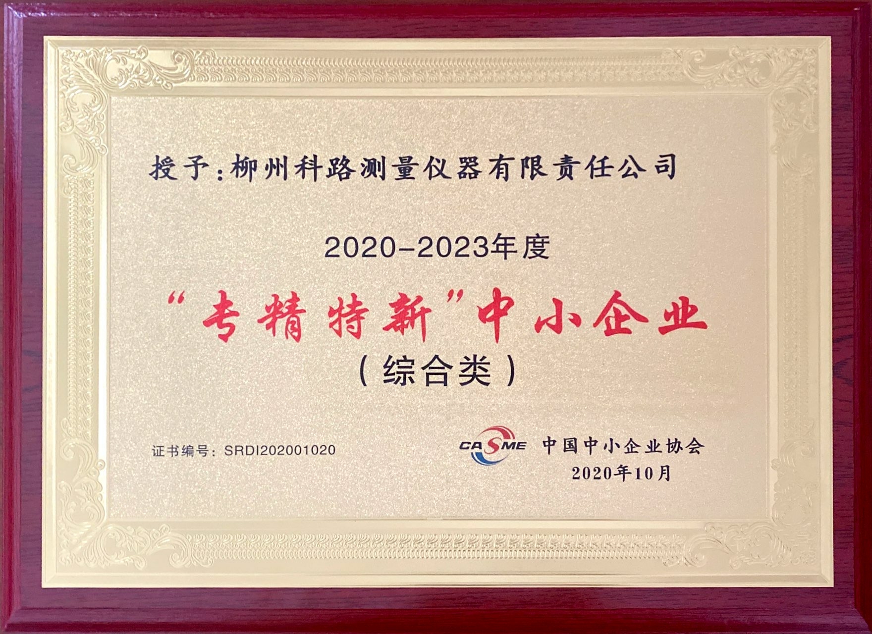 ”專精特新“中小企業(yè)認定牌匾2020.10.jpg